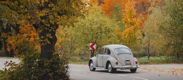 Senovinis automobilis Senovinis automobilis - Sputnik Lietuva
