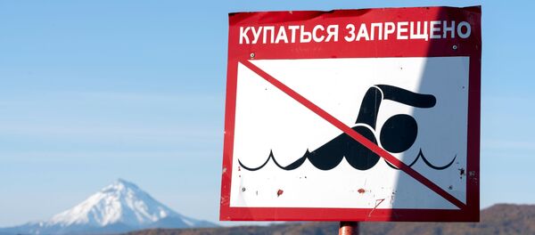Запрещающий знак на берегу Авачинской губы - Sputnik Литва