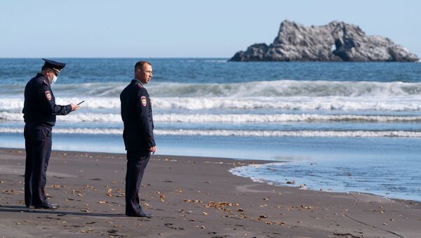 Полиция проверяет информацию о загрязнении воды и гибели морских животных на Камчатке - Sputnik Lietuva