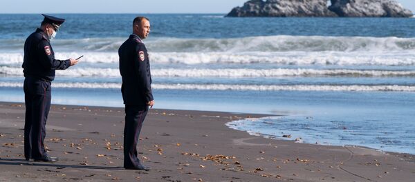 Полиция проверяет информацию о загрязнении воды и гибели морских животных на Камчатке - Sputnik Литва