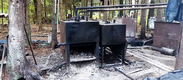 degtinės bravoras degtinės bravoras - Sputnik Lietuva