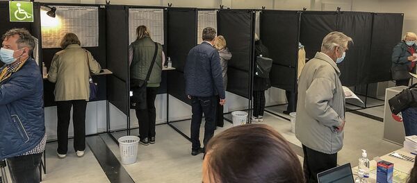 Предварительное голосование в Сейм в Вильнюсе - Sputnik Литва