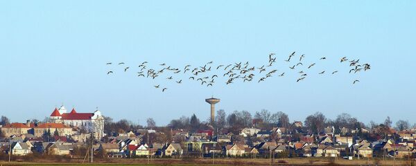 Город Расейняй, Литва  - Sputnik Литва