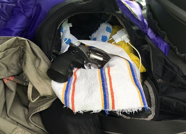 В Литве задержали эстонца, пытавшегося провезти оружие через границу - Sputnik Литва