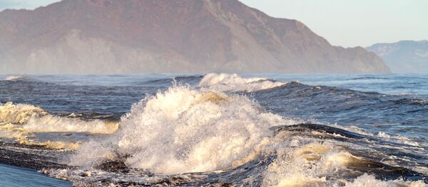 Побережье Тихого океана на Камчатке - Sputnik Литва