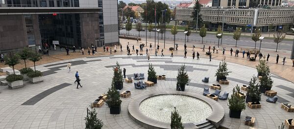 Очередь на досрочное  голосование в Сейм Литвы - Sputnik Литва