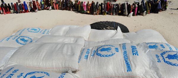 Всемирная продовольственная программа стала лауреатом Нобелевской премии мира за 2020 год - Sputnik Литва