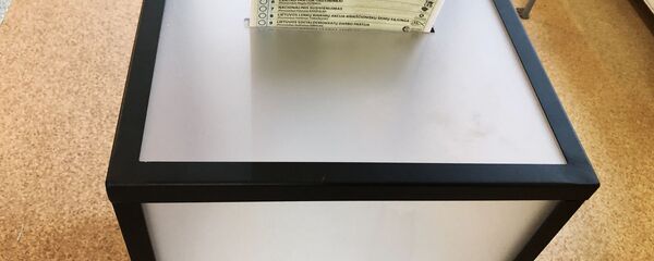 Выборы в Сейм Литвы - Sputnik Литва