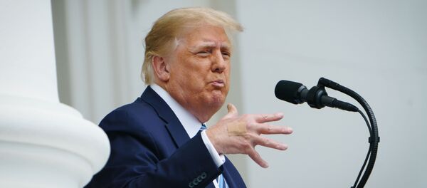 Президент США Дональд Трамп Президент США Дональд Трамп - Sputnik Литва