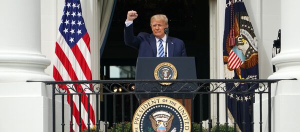 Президент США Дональд Трамп Президент США Дональд Трамп - Sputnik Lietuva