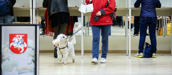 Выборы в Сейм Литвы - Sputnik Литва