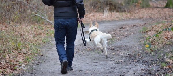 Мужчина гуляет с собакой - Sputnik Литва