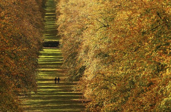 Люди гуляют среди осенних листьев на территории поместья Стормонт в Белфасте, Северная Ирландия - Sputnik Lietuva