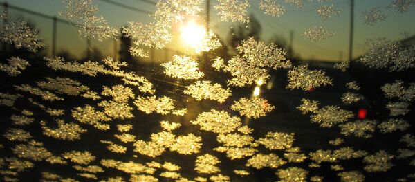 Изморозь на стекле - Sputnik Литва