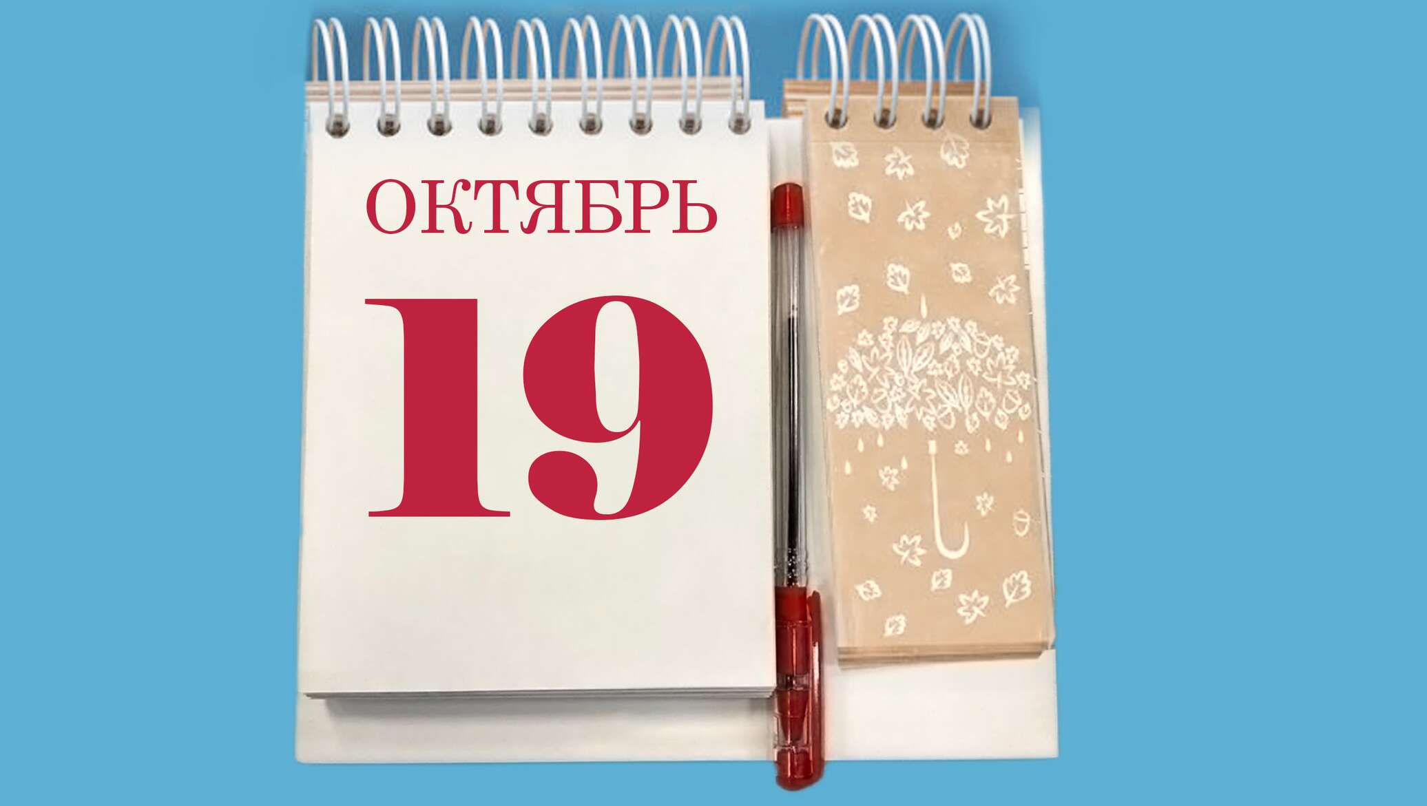 Дата 19