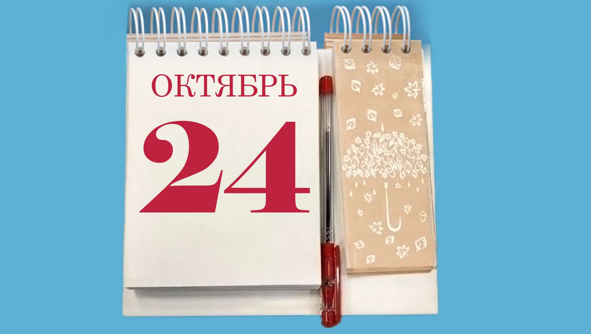 23 октября имена