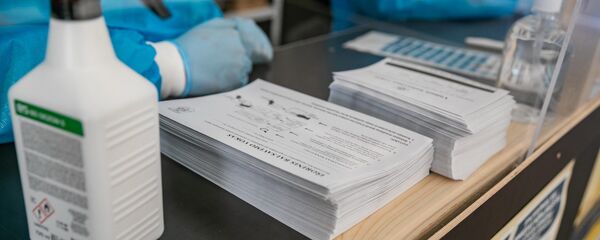 Предварительное голосование второго тура выборов в Сейм - Sputnik Lietuva