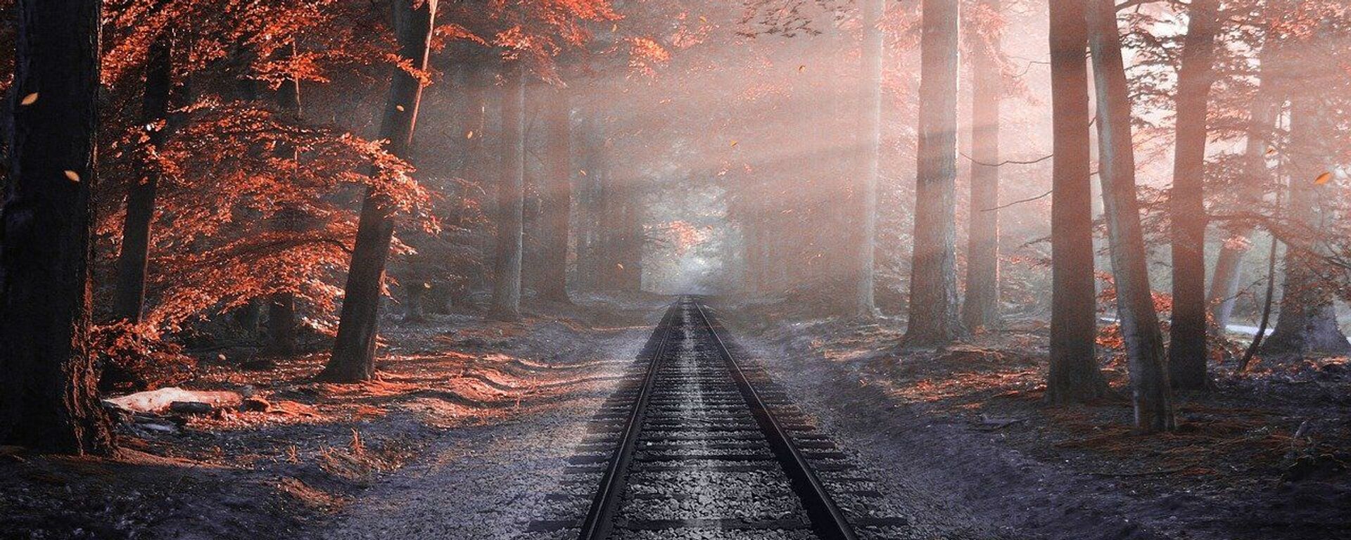 Железная дорога в лесу, архивное фото - Sputnik Литва, 1920, 20.10.2021