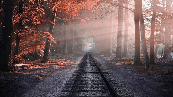 Железная дорога в лесу, архивное фото - Sputnik Литва