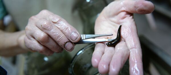 Dėlė - Sputnik Lietuva