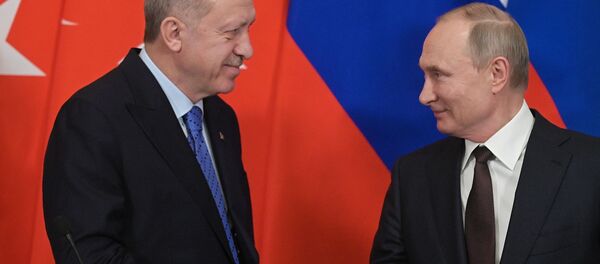 Президент РФ В. Путин встретился с президентом Турции Р. Эрдоганом - Sputnik Литва