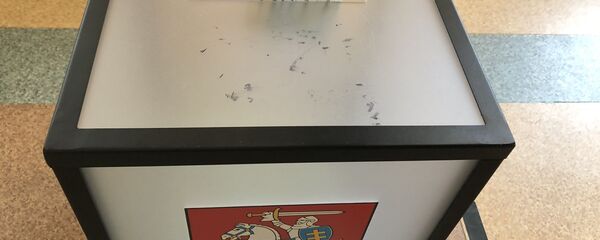 Голосование во втором туре выборов в Сейм Литвы Голосование во втором туре выборов в Сейм Литвы - Sputnik Lietuva