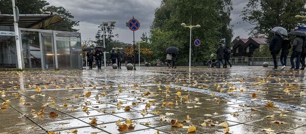 Осень В Паланге Осень В Паланге - Sputnik Литва