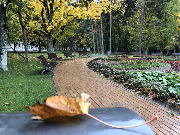 Осень В Паланге