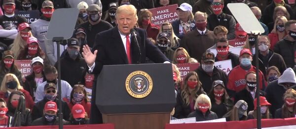 Putinas atsakė į JAV kandidatų į prezidentus kaltinimus. Ką Trampas ir Baidenas primeta Rusijai? - Sputnik Lietuva