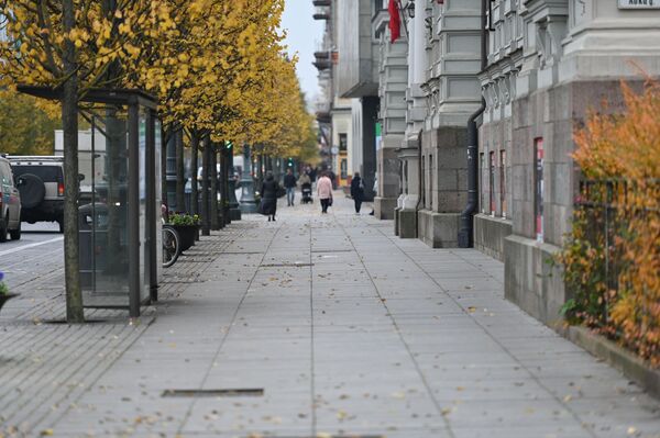 Vilniuje surinkta ir išvežta 2 tūkst. tonų medžių lapų Vilniuje surinkta ir išvežta 2 tūkst. tonų medžių lapų - Sputnik Lietuva