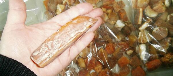 Контрабанда янтаря в Литве Контрабанда янтаря в Литве - Sputnik Lietuva