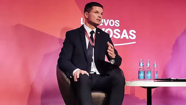 Paulius Saudargas  - Sputnik Lietuva