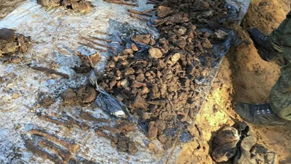 Žmogaus palaikų fragmentai, kuriuos paieškininkai rado Hitlerio budelių mirties bausmių vykdymo vietoje netoli Glotų kaimo, Pskovo srityje - Sputnik Lietuva