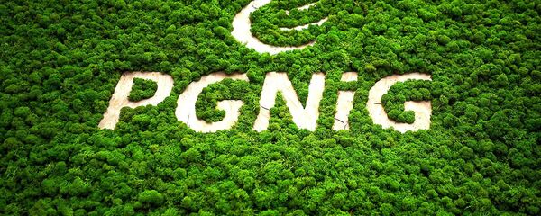 Логотип нефтегазовой компании PGNiG Логотип нефтегазовой компании PGNiG - Sputnik Lietuva