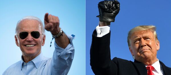 Кандидаты в президенты США Джо Байден и Дональд Трамп Кандидаты в президенты США Джо Байден и Дональд Трамп - Sputnik Lietuva