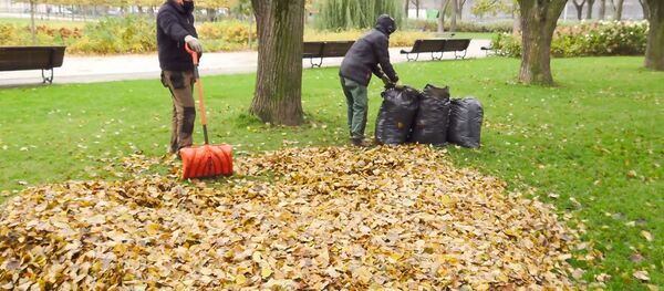 Vilniuje pasiruošimas žiemos sezonui prasidėjo lapų surinkimu - Sputnik Lietuva