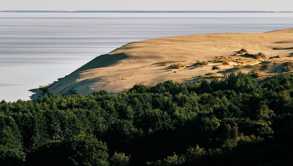 Вид на дюны с высоты Эфа в национальном парке Куршская коса в Калининградской области - Sputnik Литва