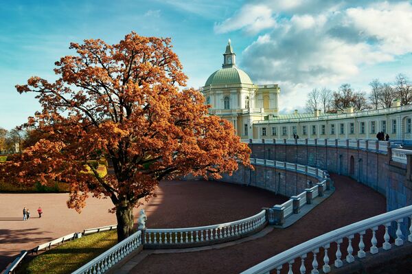 Lapkričio 15 dienos horoskopas visiems zodiako ženklams Lapkričio 15 dienos horoskopas visiems zodiako ženklams - Sputnik Lietuva