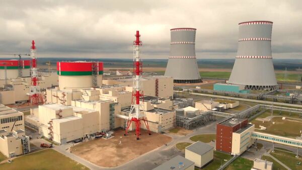 У нас есть мозги: как Лукашенко открывал Белорусскую АЭС - Sputnik Литва