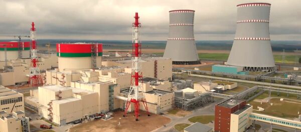 У нас есть мозги: как Лукашенко открывал Белорусскую АЭС - Sputnik Литва