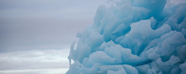 Arktis Arktis - Sputnik Lietuva