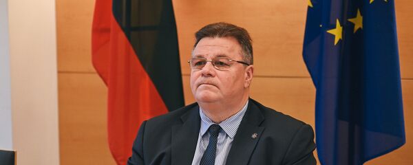 Министр иностранных дел Литвы Линас Линкявичюс Министр иностранных дел Литвы Линас Линкявичюс - Sputnik Lietuva