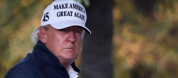 Президент США Дональд Трамп Президент США Дональд Трамп - Sputnik Lietuva