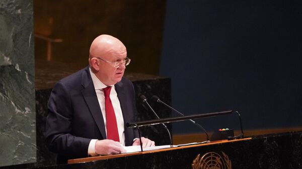 Постоянный представитель РФ при ООН Василий Небензя - Sputnik Литва