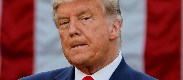 Президент США Дональд Трамп Президент США Дональд Трамп - Sputnik Lietuva