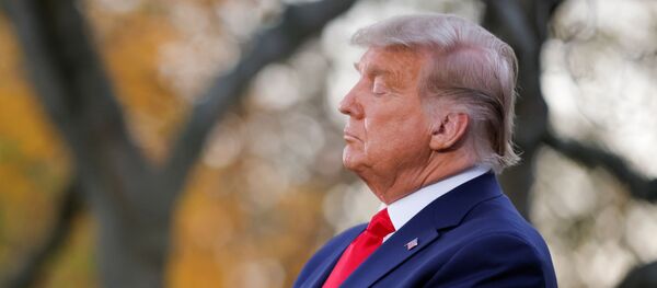 Президент США Дональд Трамп - Sputnik Литва