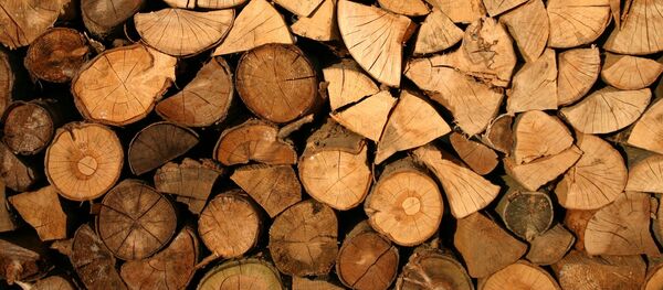 Дрова - Sputnik Литва