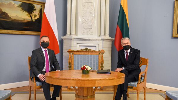 Встреча президент Литвы Гитанаса Науседы и президента Польши Анджея Дуды, архивное фото - Sputnik Lietuva