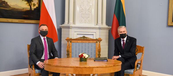 Встреча президент Литвы Гитанаса Науседы и президента Польши Анджея Дуды, архивное фото Встреча президент Литвы Гитанаса Науседы и президента Польши Анджея Дуды, архивное фото - Sputnik Lietuva