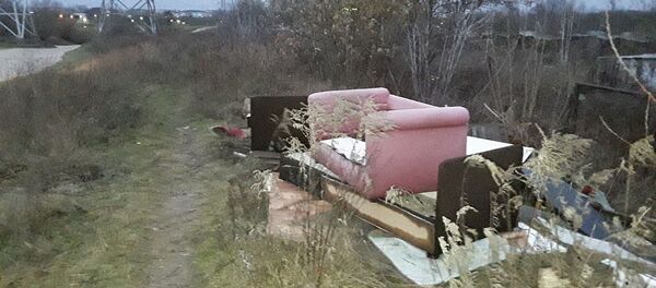 Мусор в лесу в Вильнюсском районе - Sputnik Литва